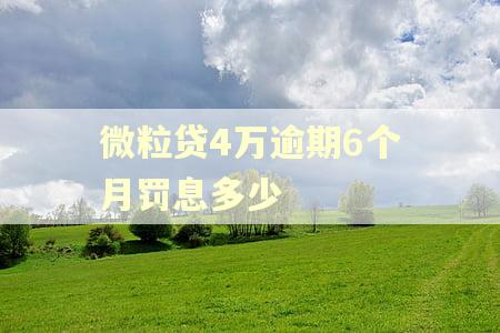 微粒贷4万逾期6个月罚息多少