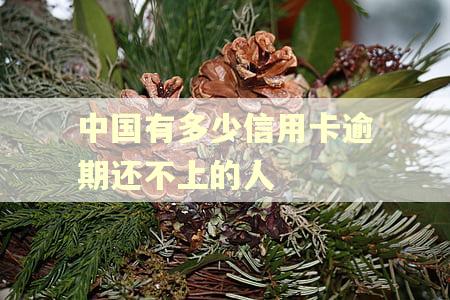 中国有多少信用卡逾期还不上的人 中国有多少信用卡逾期还不上的人