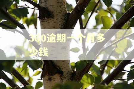 360逾期一个月多少钱