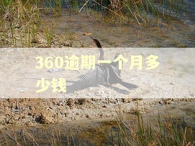 360逾期一个月多少钱