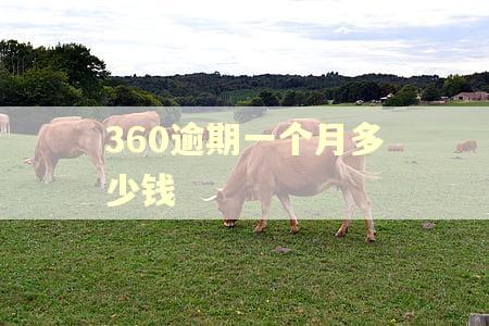 360逾期一个月多少钱
