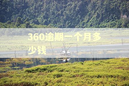 360逾期一个月多少钱 360逾期一个月多少钱