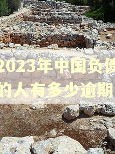 2023年中国负债的人有多少逾期
