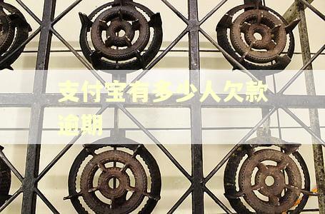 支付宝有多少人欠款逾期