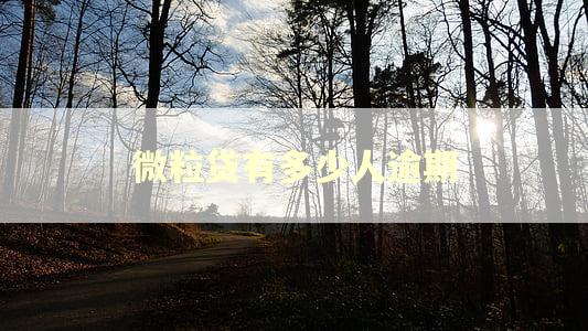 微粒贷有多少人逾期