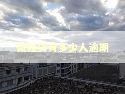 微粒贷有多少人逾期