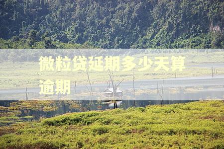 微粒贷延期多少天算逾期