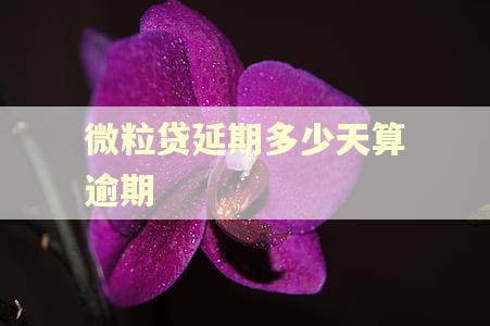 微粒贷延期多少天算逾期