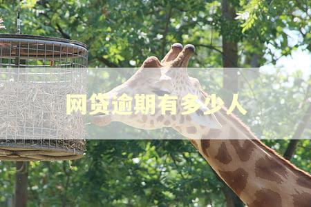 网贷逾期有多少人