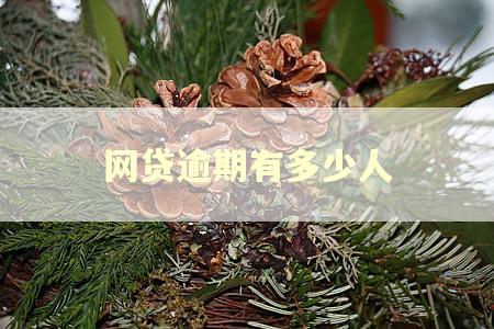 网贷逾期有多少人