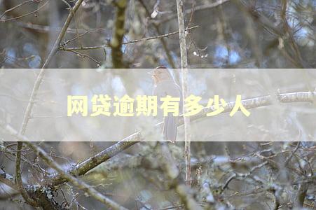 网贷逾期有多少人 网贷逾期有多少人