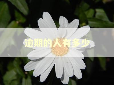 逾期的人有多少