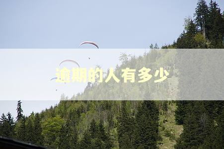 逾期的人有多少