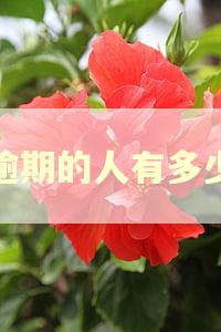 逾期的人有多少