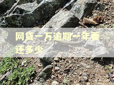 网贷一万逾期一年要还多少