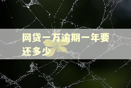 网贷一万逾期一年要还多少