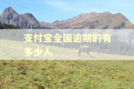 支付宝全国逾期的有多少人