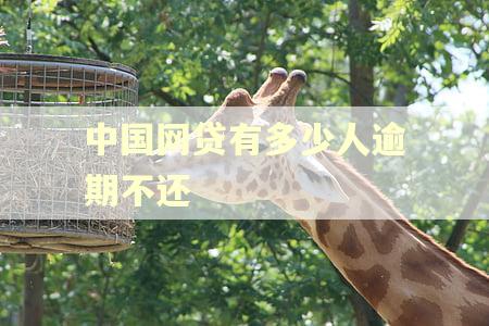 中国网贷有多少人逾期不还