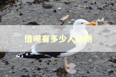 借呗有多少人逾期