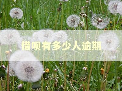 借呗有多少人逾期