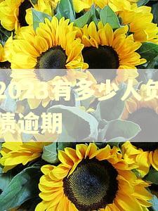 2023有多少人负债逾期