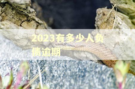 2023有多少人负债逾期