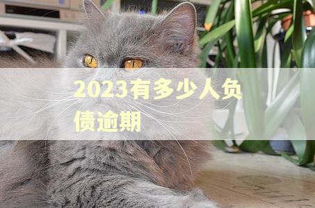 2023有多少人负债逾期 2023有多少人负债逾期