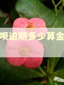 借呗逾期多少算金额大