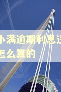度小满逾期利息违约金怎么算的