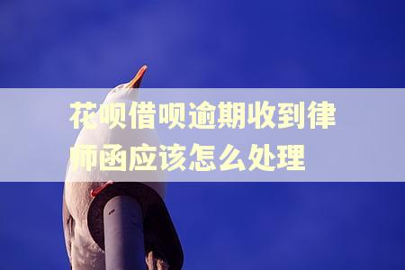 花呗借呗逾期收到律师函应该怎么处理
