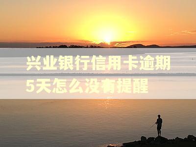 兴业银行信用卡逾期5天怎么没有提醒