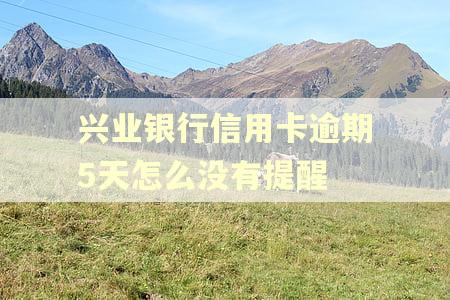 兴业银行信用卡逾期5天怎么没有提醒 兴业银行信用卡逾期5天怎么没有提醒