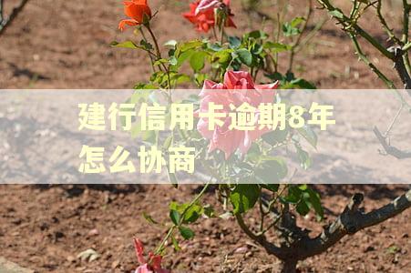 建行信用卡逾期8年怎么协商