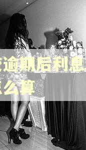 网贷逾期后利息和罚息怎么算