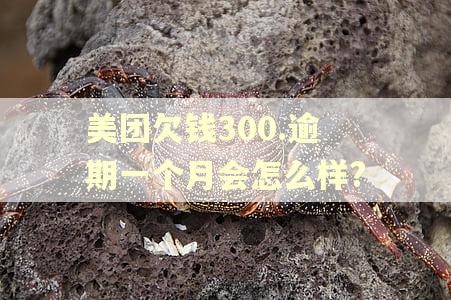 美团欠钱300.逾期一个月会怎么样?