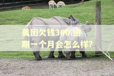 美团欠钱300.逾期一个月会怎么样?