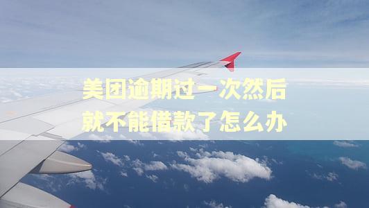美团逾期过一次然后就不能借款了怎么办