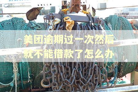 美团逾期过一次然后就不能借款了怎么办