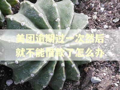 美团逾期过一次然后就不能借款了怎么办