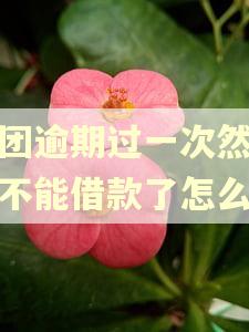 美团逾期过一次然后就不能借款了怎么办