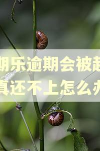 分期乐逾期会被起诉吗真还不上怎么办