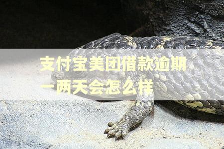 支付宝美团借款逾期一两天会怎么样
