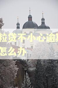 微粒贷不小心逾期2天怎么办