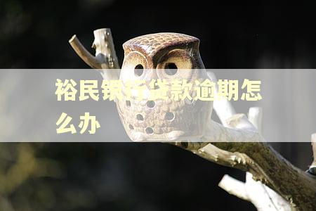 裕民银行贷款逾期怎么办