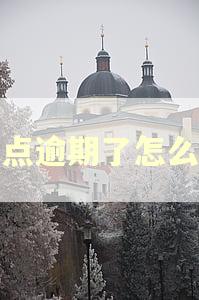 点点逾期了怎么办