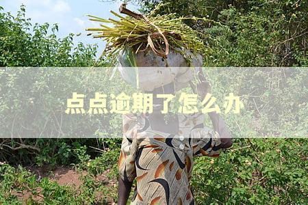 点点逾期了怎么办