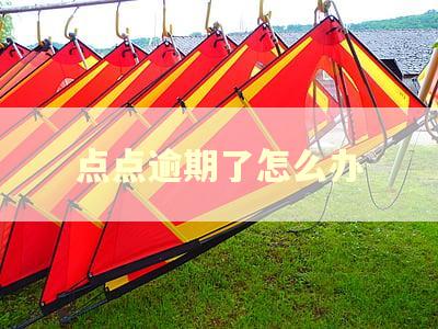 点点逾期了怎么办