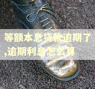 等额本息贷款逾期了,逾期利息怎么算