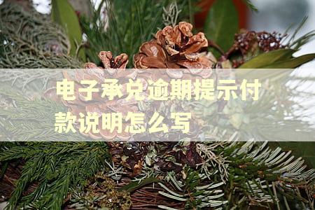 电子承兑逾期提示付款说明怎么写