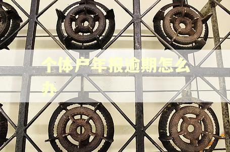 个体户年报逾期怎么办